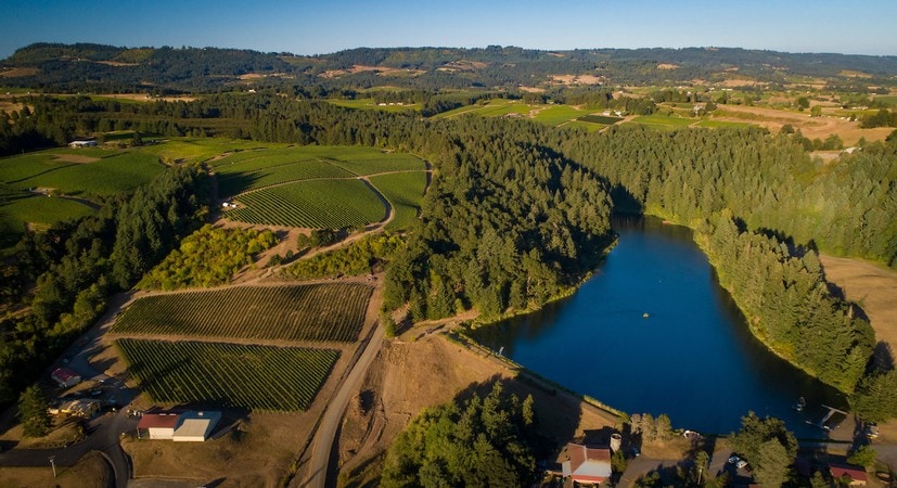 Aerial view of Patricia Green Cellars, its estate vineyard, and the surrounding Oregon landscape