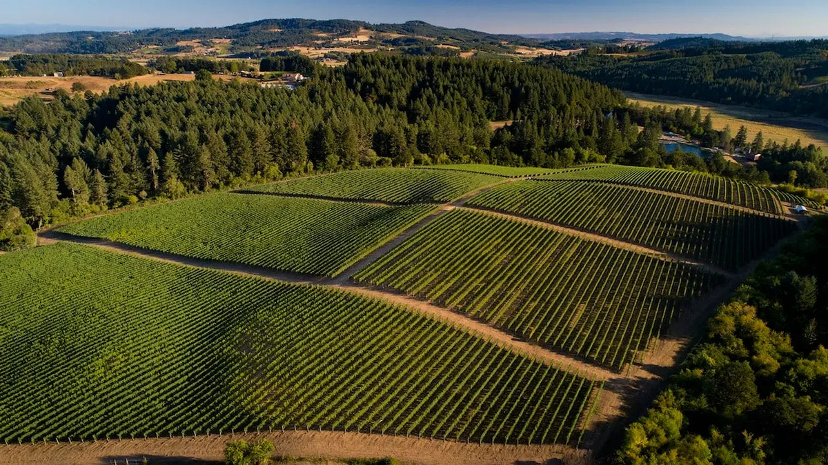 Aerial view of the Patricia Green Cellars estate and vineyard