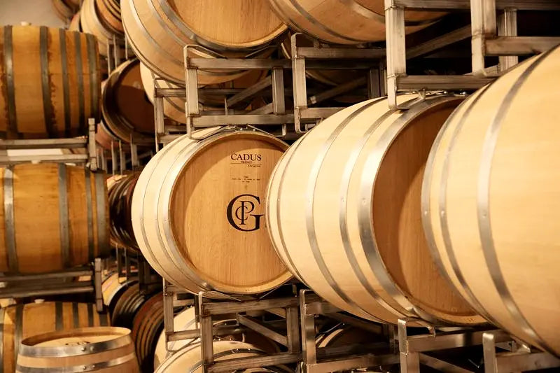 Patricia Green Cellars oak barrels resting in the cellar