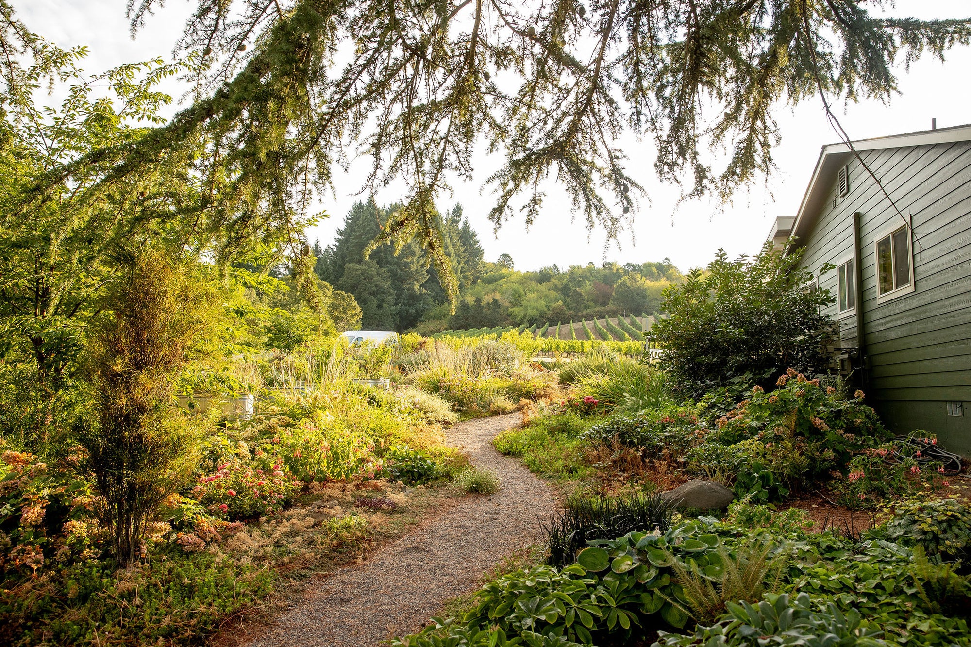 Garden path beside the Patricia Green Cellars estate