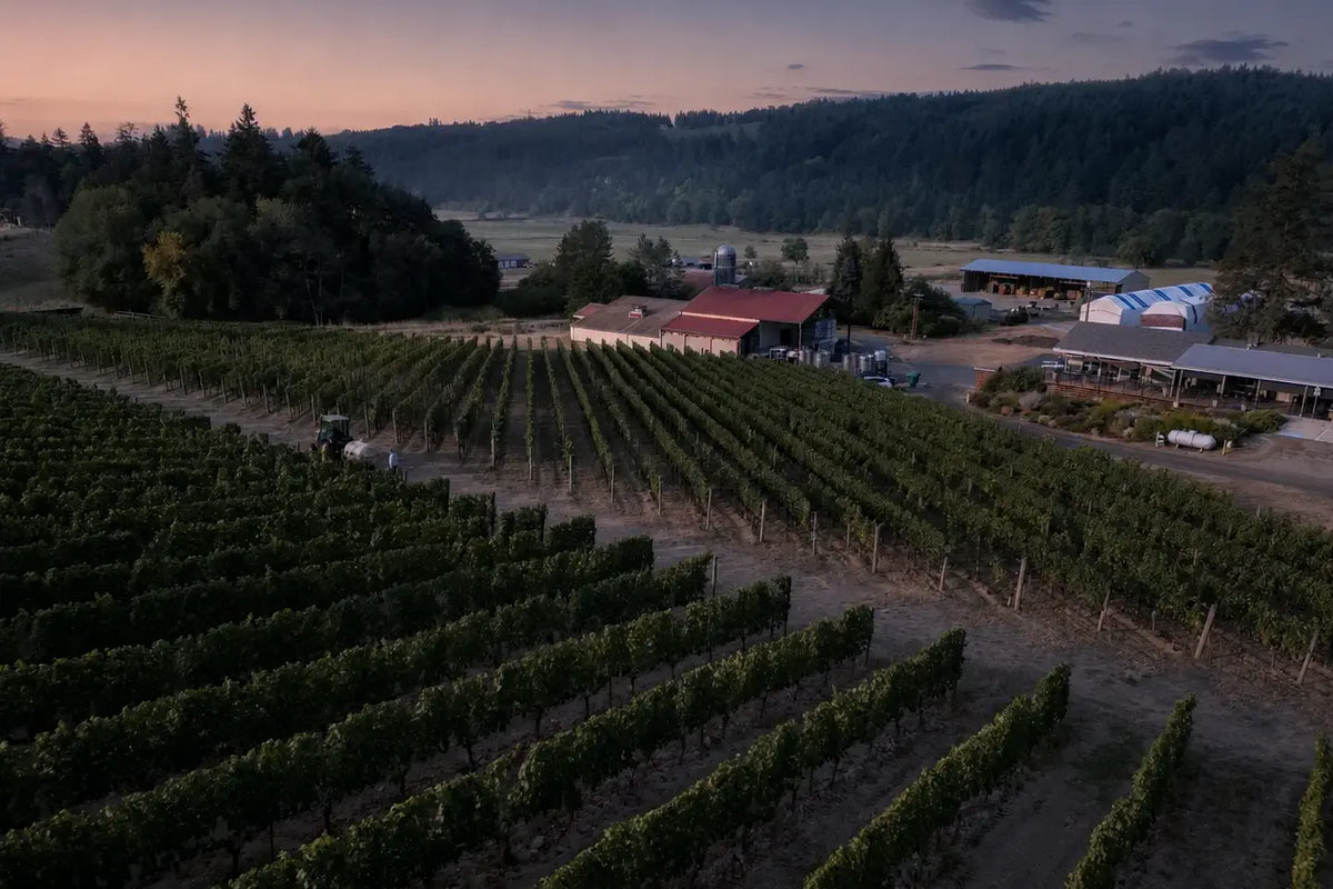Aerial view of Patricia Green Cellars and surrounding vineyard landscape